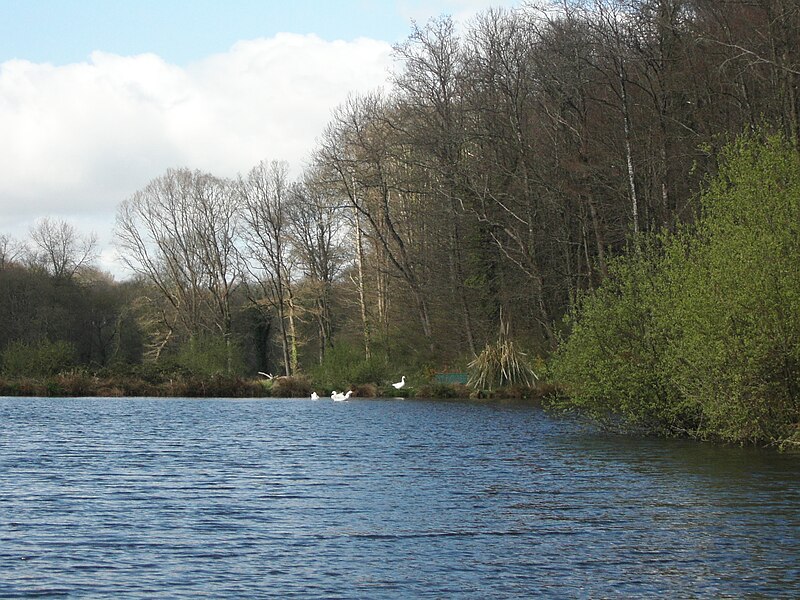 File:Avril 2005, nature près de Guingamp 16.jpg