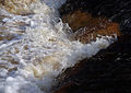 2012-09-12 17:02 Aysgarth Lower Falls.