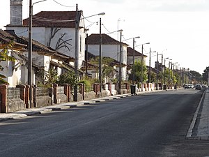 Nossa Senhora de Fátima (Entroncamento)