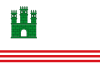 圣维森特-德卡斯特列特旗幟