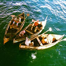 Small fish boats