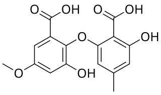 <span class="mw-page-title-main">Barceloneic acid B</span> Chemical compound