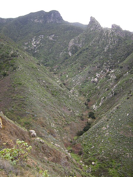 File:Barranco de Almáciga (Tenerife).JPG