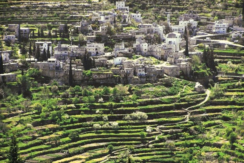 File:Battir-Land-of-Olives-and-Vines.jpg