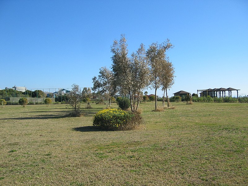 File:Beach (Antalya) Dezember 2008 - December 2008 - Aralik 2008 10 - panoramio.jpg