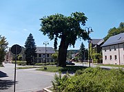 Berga city ponds