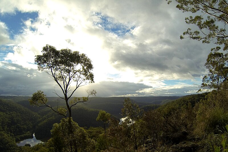 File:Berowra Valley (10).jpg