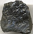 Bituminous coal (Vandusen Coal, Lower Pennsylvanian; Irish Ridge East roadcut, near Trinway, Ohio, USA) 1 (15662475049).jpg