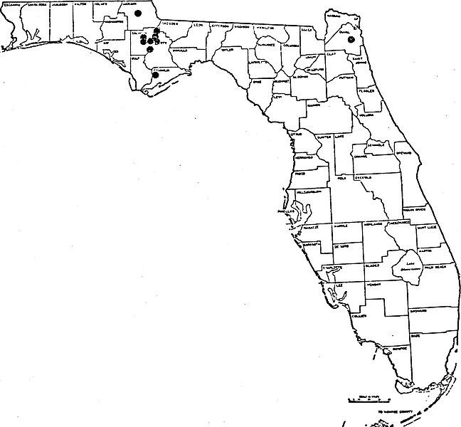 File:Black flies (Diptera - Simuliidae) of Florida and their involvement in the transmission of Leucocytozoon smithi to turkeys (1976) (19763050414).jpg