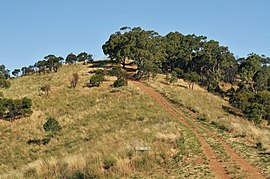 Black hill conservation park track.JPG