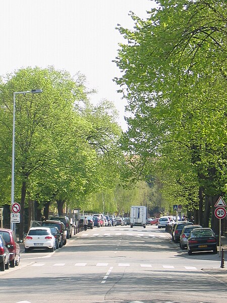 File:Boulevard Saint-Pierre (Colmar).jpg