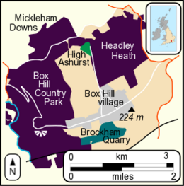 Box Hill map.png 