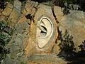 Bretschneidrovo ucho.jpg