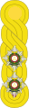 1881 to 1902 captain's rank insignia