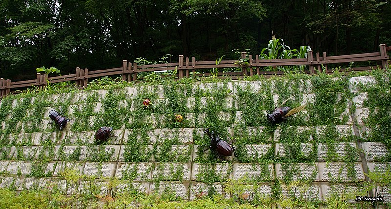 File:Bukhansan Forest Education Park (북한산 숲 체험장) - panoramio.jpg