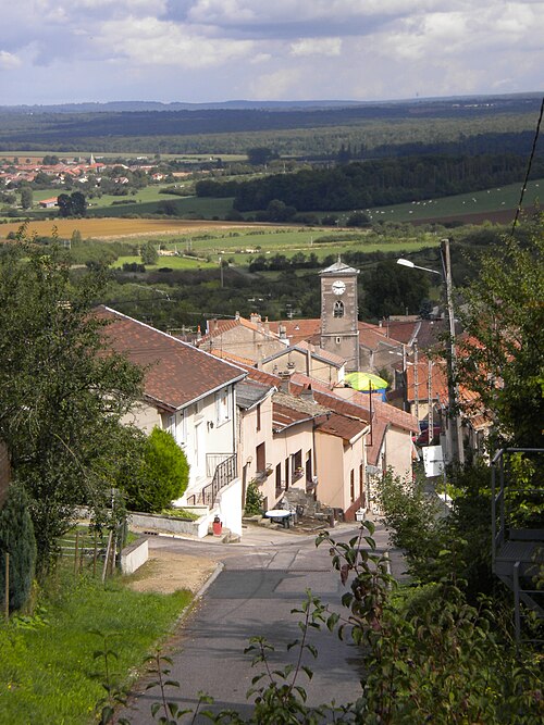 Serrurier porte blindée Bulligny (54113)