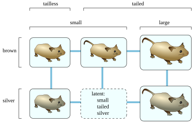 The Buneman graph for five types of mouse. Buneman graph.svg