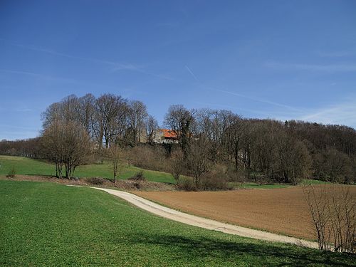 Burgruine Winterstein (Simmelsdorf)