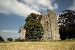 Burnchurch Castle, dating to the 15th or 16th century, is protected as a national monument