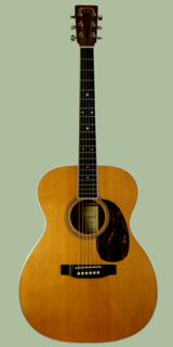 Acoustic guitar type of guitar