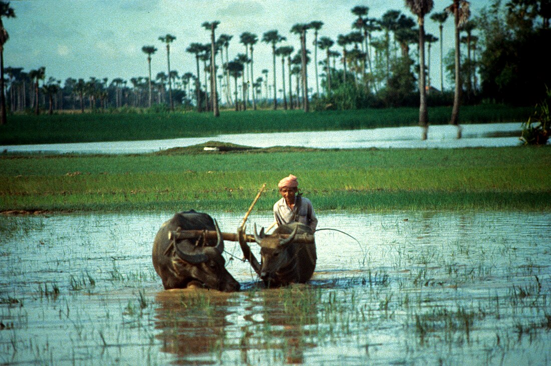 ភូមិល្វាជោម