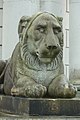 Casino lion.jpg