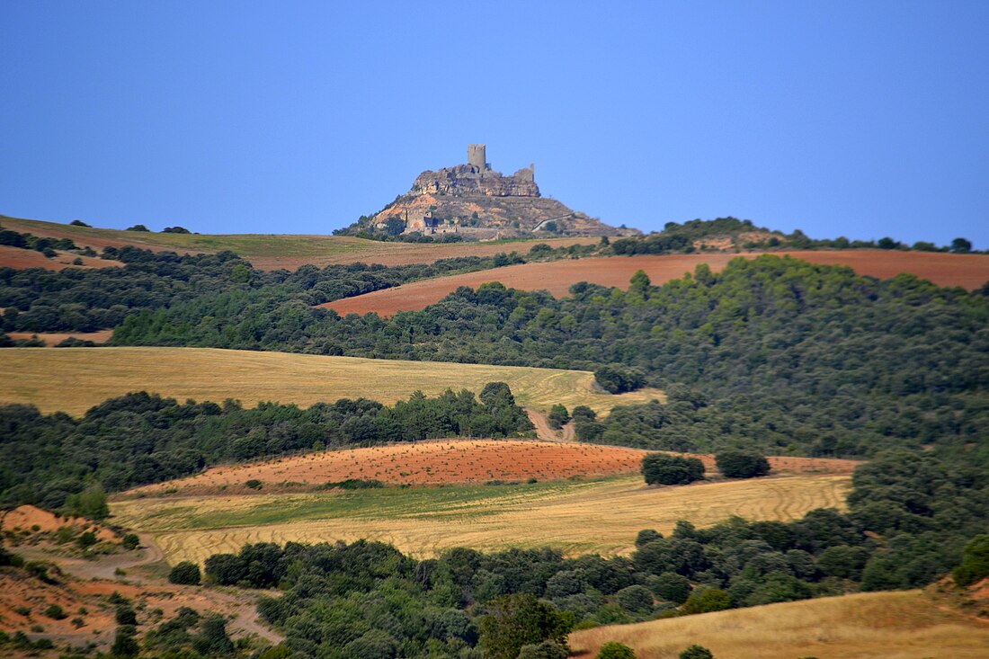 Castell de Viacamp