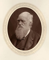 Charles Darwin Men of Mark by Lock & Whitfield, 1877.jpg