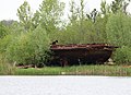 * Nomination: Pripyat River in Chernobyl. Abandoned shipwreck (1). Not sure about quality, feedback needed for this serie -- George Chernilevsky 20:54, 29 August 2019 (UTC) * * Review needed