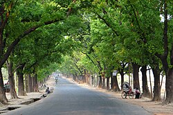 Chittagong University Road (01).jpg