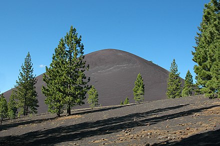 View of Cinder Cone from the Cinder Cone Trail that leads to it. The trees are Jeffrey pines (Pinus jeffreyi).