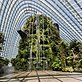 Cloud Forest, Gardens by the Bay, Singapore.jpg