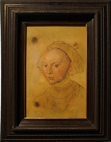 File:Cranach l'ancien Catherine prins Brunswick Grubehagen 1542.jpg