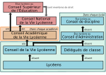 Vignette pour Démocratie lycéenne