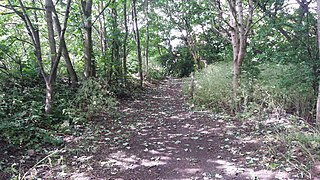 Daisy Bank railway station