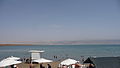 Dead sea 002 (4535431610).jpg