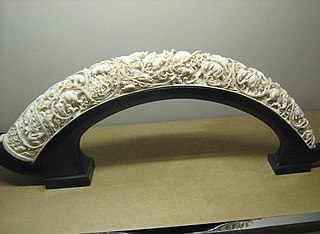 <span class="mw-page-title-main">Ivory (color)</span> Off-white color