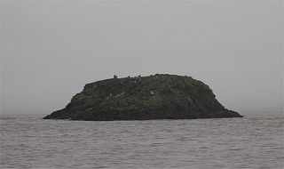 <span class="mw-page-title-main">Denny Island</span> Uninhabited island off the shores of Great Britain