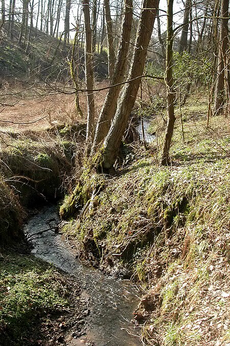 Der Forstbach im Naturschutzgebiet Forstbachtal