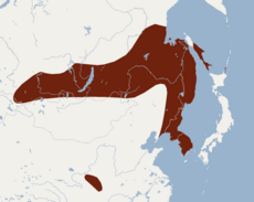 Distribuția Myotis ikonnikovi.png