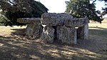 Anta da Pedra Elevada 1.jpeg