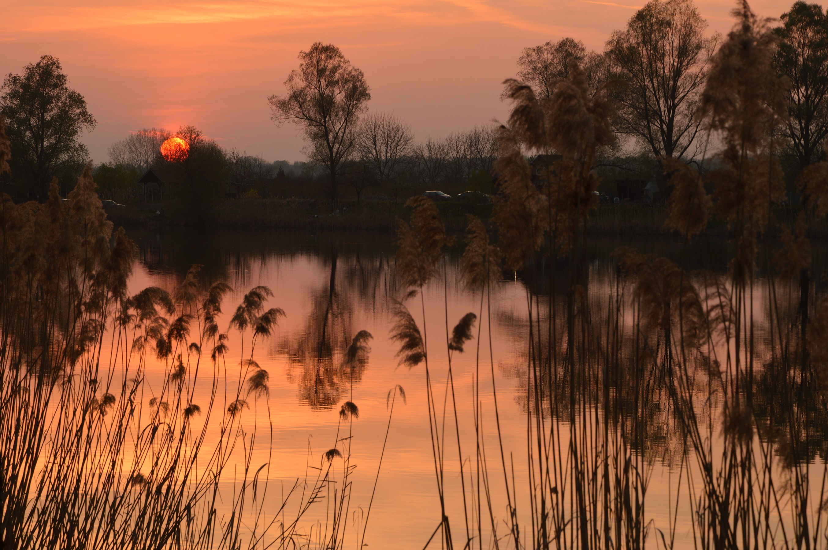 Regional park Mura-Drava Photograph: Laura Bunjevac