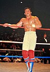 Dynamite Kid Bulldogs.jpg הבריטי