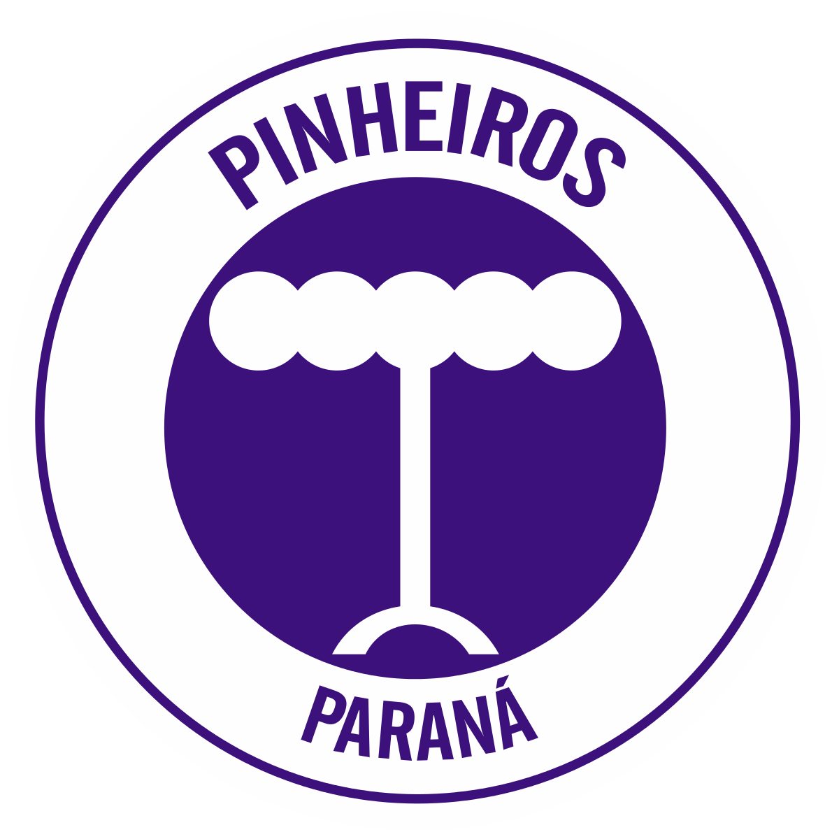 Esporte Clube Pinheiros (handball) - Wikipedia