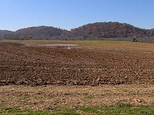 Elmwood Farm fields Earnest-farms-fields-tn1.jpg