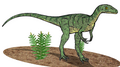 Eoraptor, um dos primeiros dinossauros.