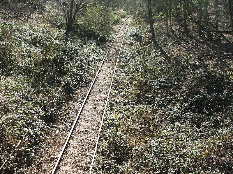 File:Epping Ongar Railway trackbed.jpg