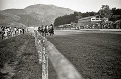 Escenas de las carreras de caballos en el hipódromo de Lasarte (27 de 27) - Fondo Car-Kutxa Fototeka.jpg