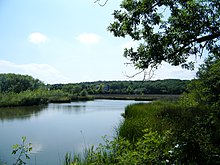Teich des Parks