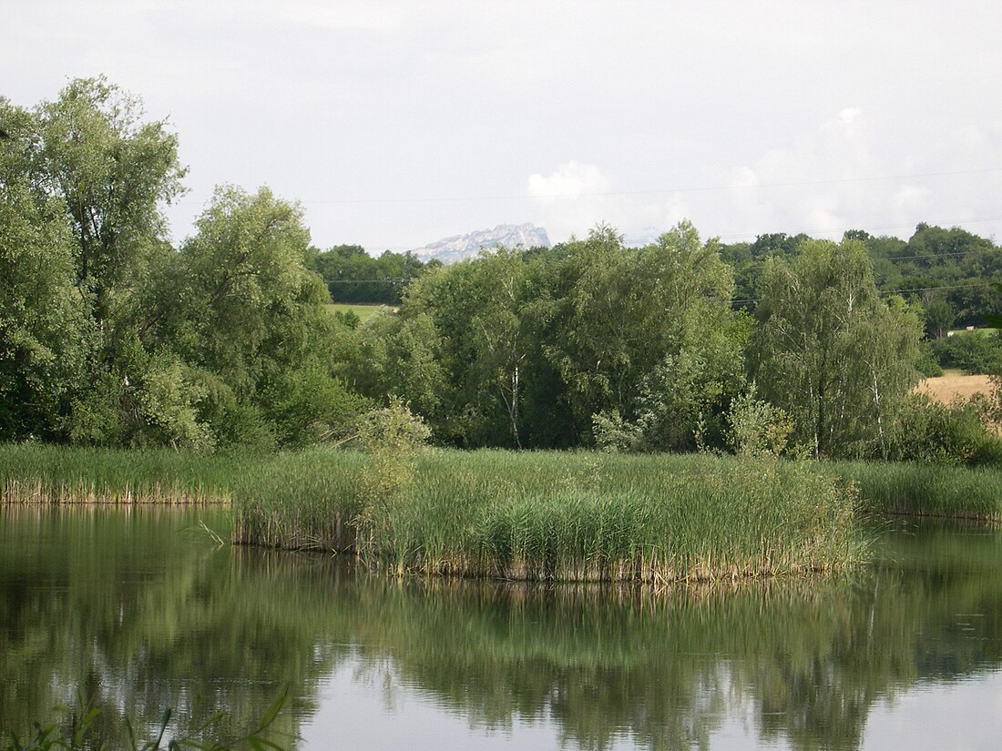 Réserve naturelle régionale de l'étang de Haute-Jarrie